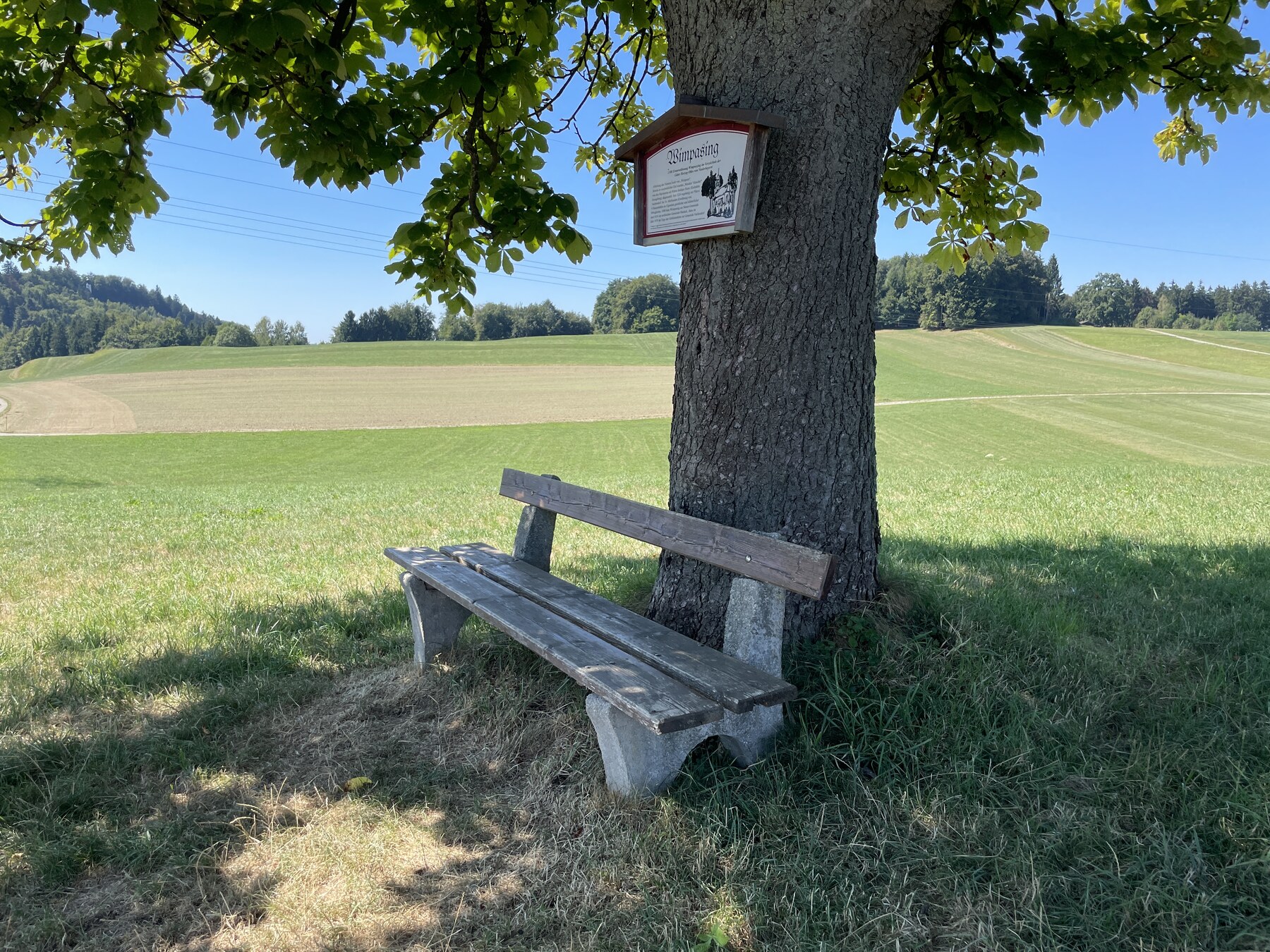 Wimpasing
