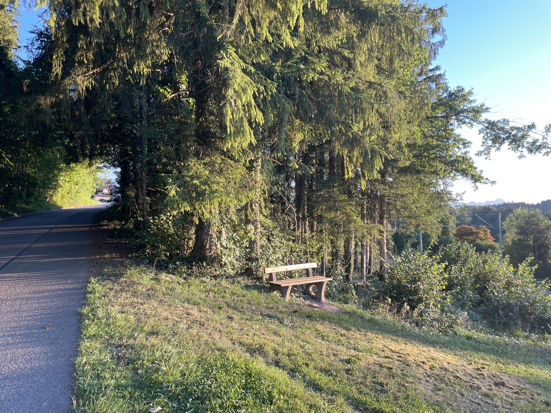 Haspertinger Berg