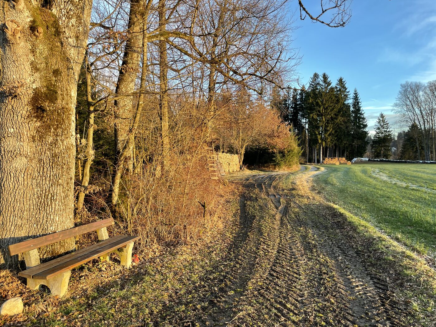 Humei-Gedenk-Bankerl