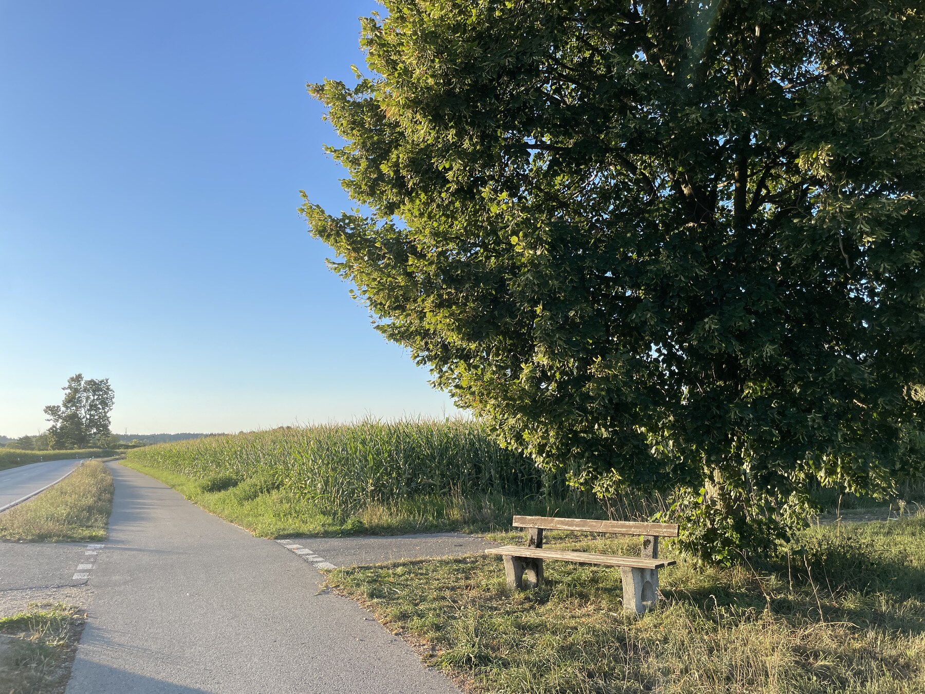 Mühlen / Erlstätt