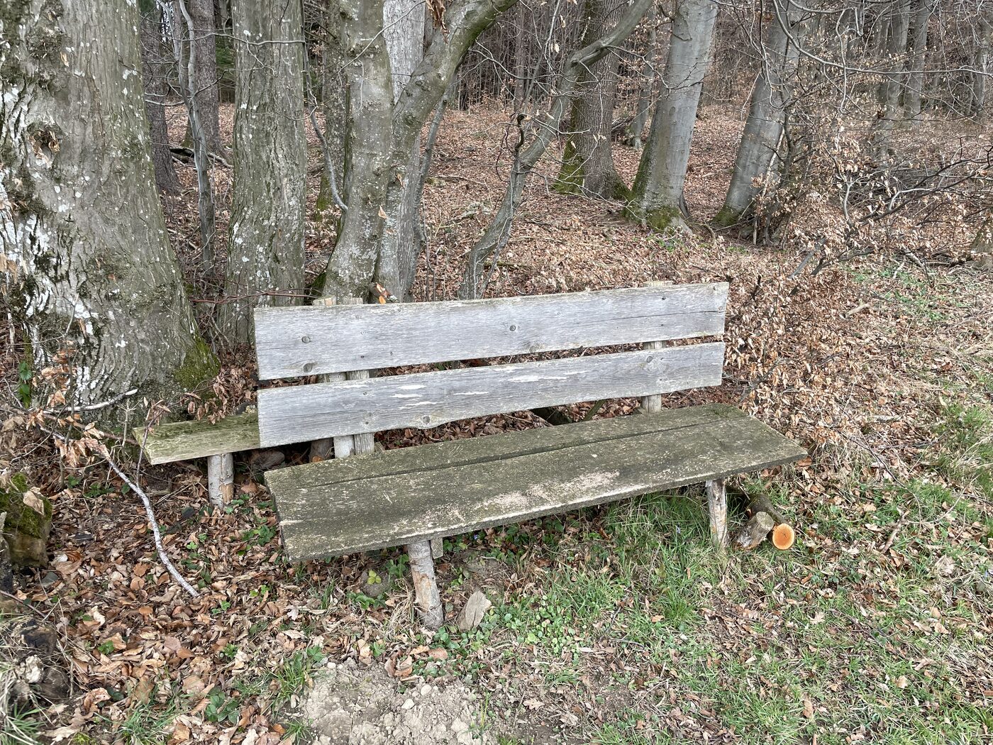 Wörglham privat 2
