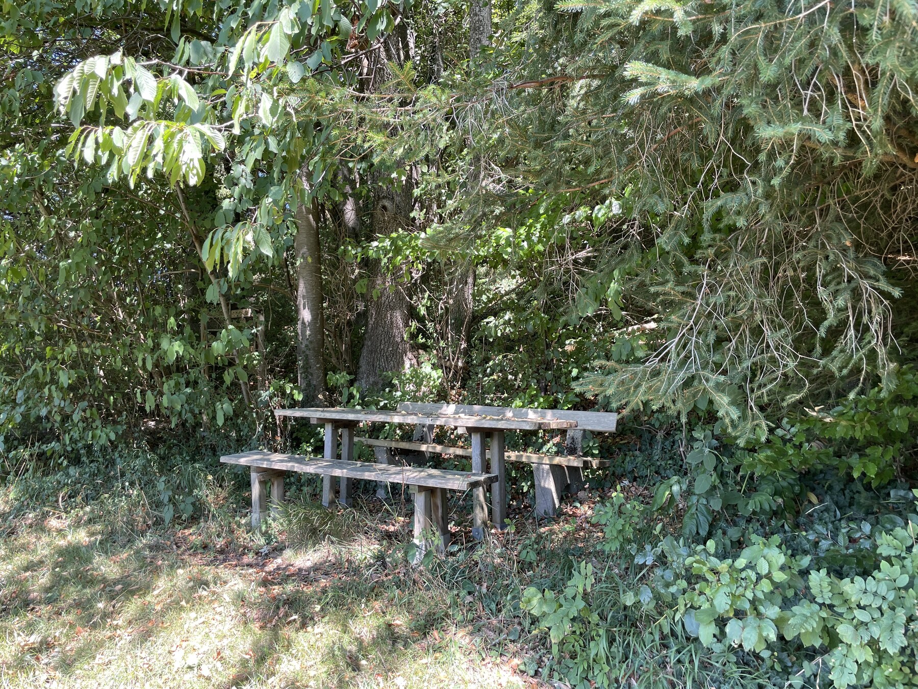 Türlberg