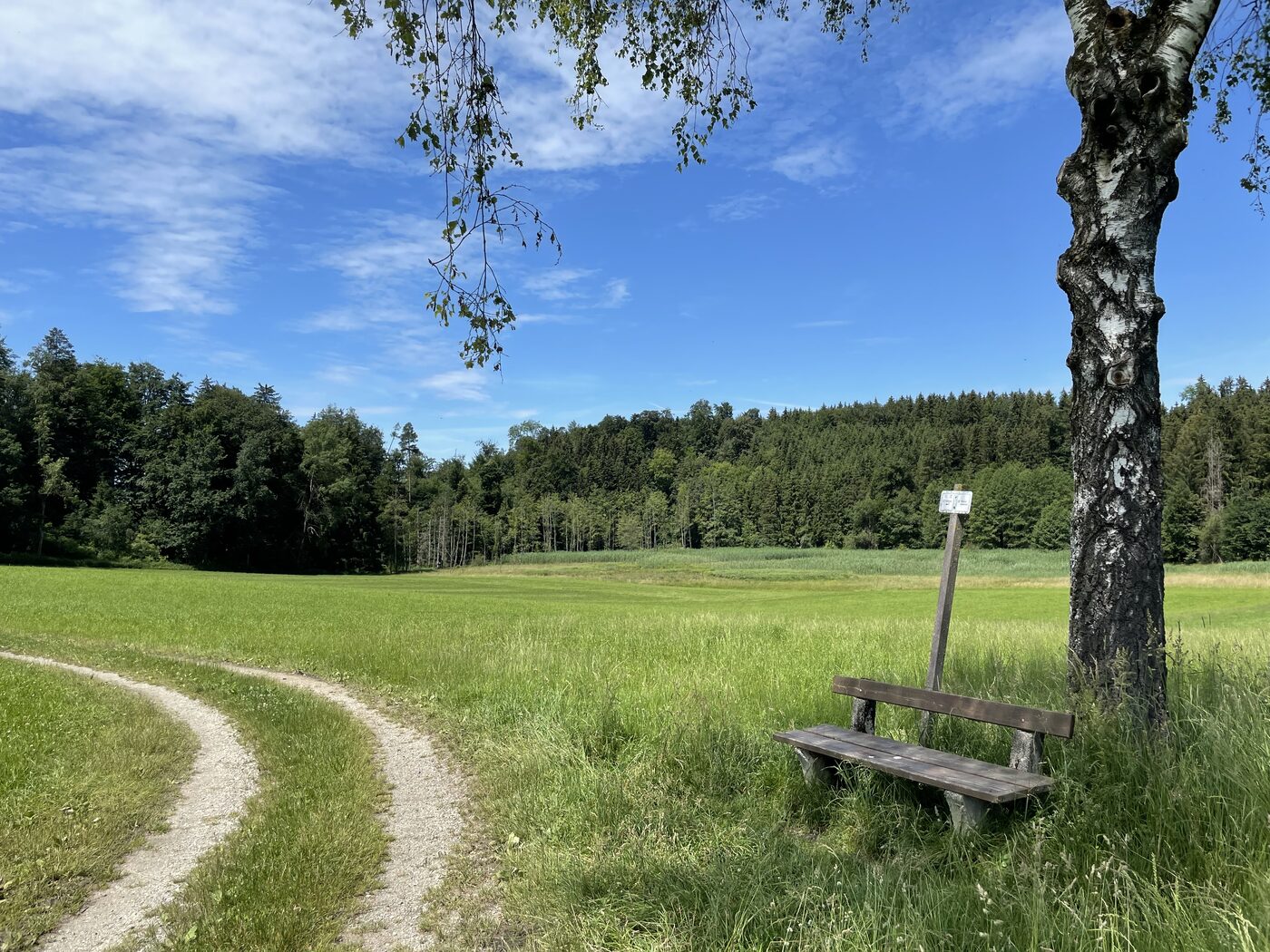 Tüttensee Moos