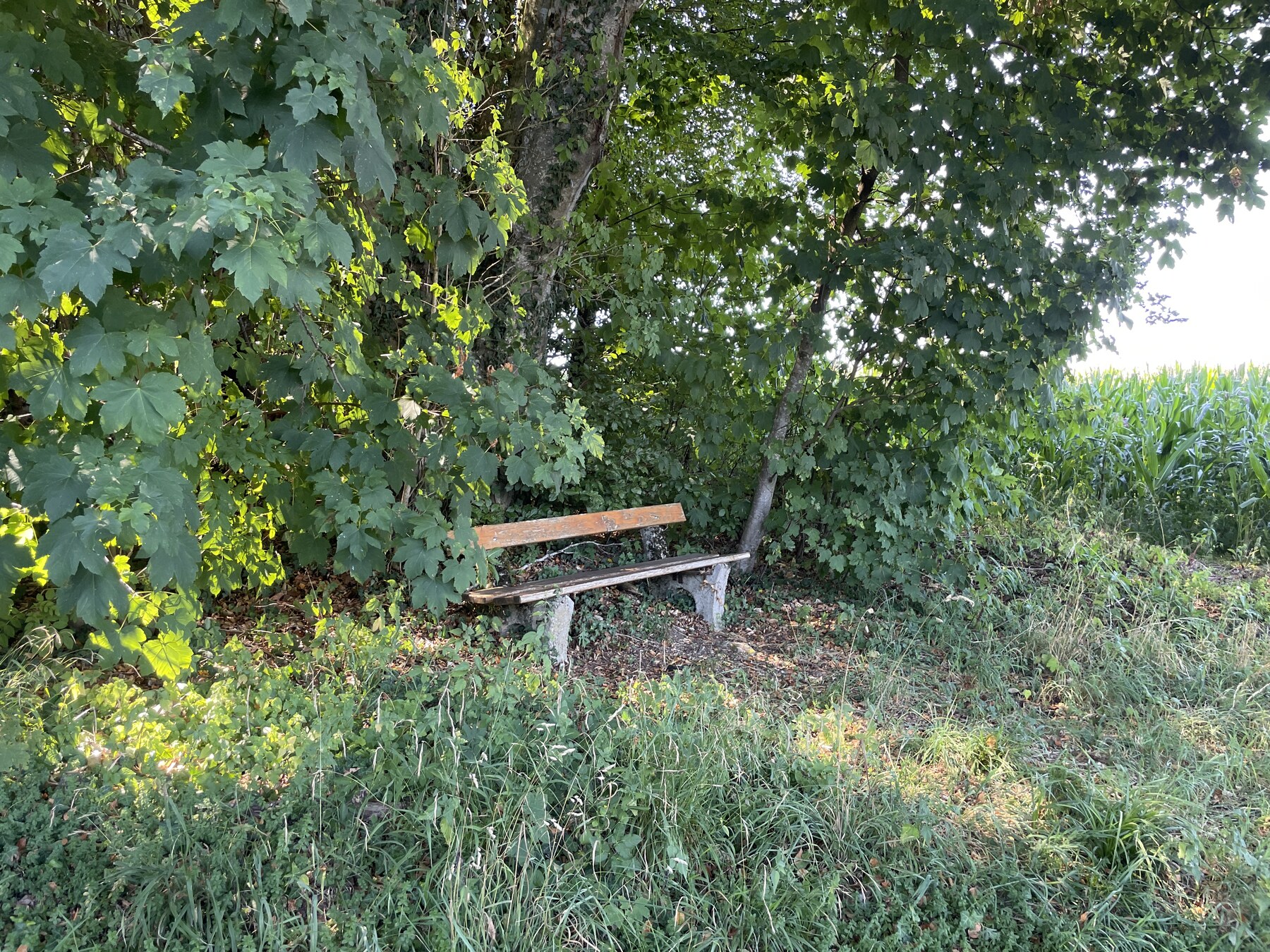 Margarethenbankerl Einharting
