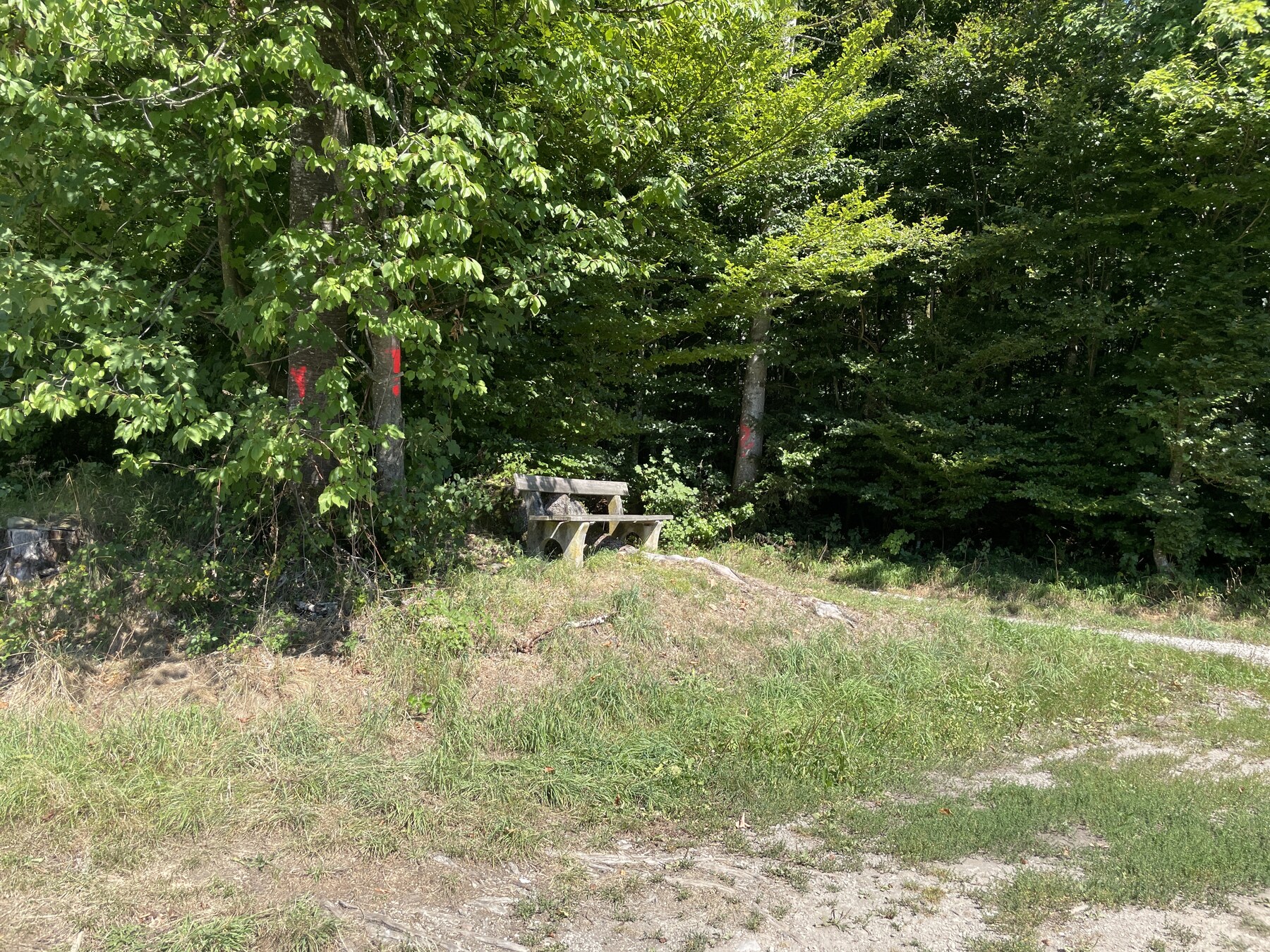 Richtung Kaltenbrunn